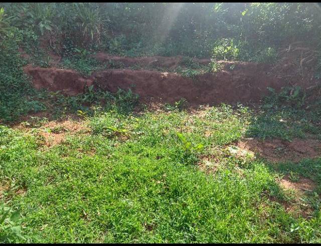 LAND FOR SALE IN UMGABABA